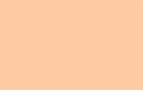 Image result for Pastel Peach Colour