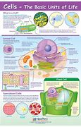 Image result for Life Science Cells