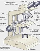 Image result for 3D Microscope Sketch