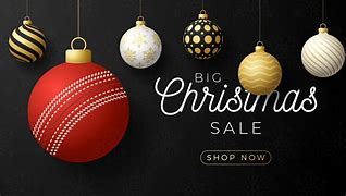 Image result for Christmas Cricket Ball