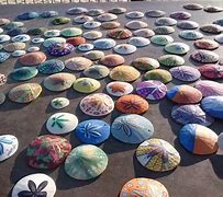 Image result for Sand Dollar Art Projects