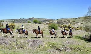 Image result for Famous Horse Riders Female
