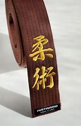 Image result for Jiu Jitsu Belts