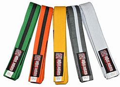 Image result for Jiu Jitsu Belt System