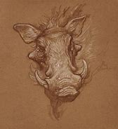 Image result for Warthog Drawing