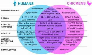 Image result for Genetic Differences