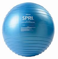 Image result for SPRI 15 Ball