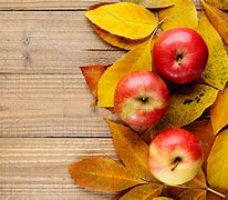 Image result for Apples in Autumn Leaves