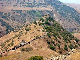 Image result for Golan Heights Pinot Noir Gamla