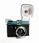 Image result for Diana Camera Photography