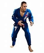 Image result for Jiu Jitsu Stance