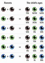 Image result for Dominant and Recessive Eye Color Chart