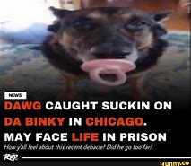 Image result for Dawg Died Meme