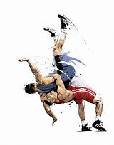 Image result for Wrestling Moves Drawing