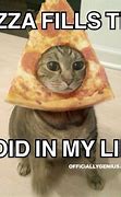 Image result for Cat with Pizza Work Meme