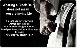 Image result for Martial Arts Belts Quotes
