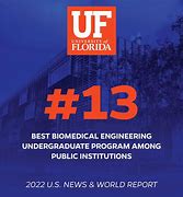 Image result for Biomedical Engineering Schools in Florida