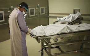 Image result for Autopsy Cases
