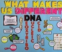 Image result for DNA and Genes for Kids