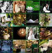 Image result for Swamp Wedding