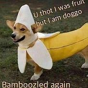 Image result for Banana PhoneDog Meme