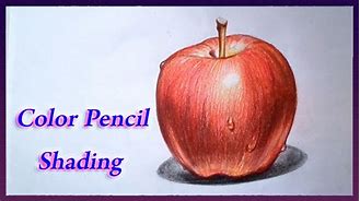 Image result for Apple Color Pencil Drawing