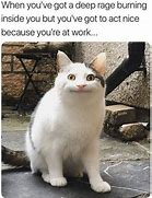 Image result for cats smiling memes history
