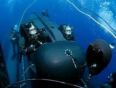 Image result for Navy SEAL Diver