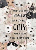 Image result for Cat Money Quotes