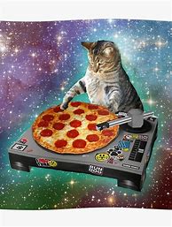 Image result for Cat Pizza Meme PFP