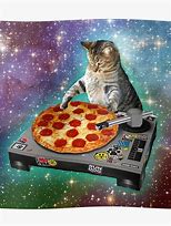 Image result for Pizza Rave Cat Meme