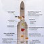 Image result for Ariane 5 ESC