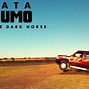 Image result for Tata Sumo Sitting