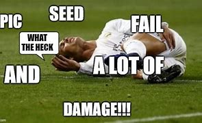 Image result for Seed Fail Meme