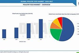 Image result for Market Analysis Inpoultry Industry