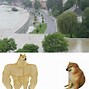 Image result for Memes About Rain