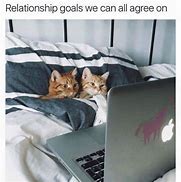 Image result for Funny Relatable Cat Memes