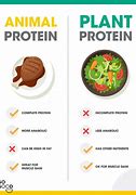 Image result for Meat-Based Protein versus Plant-Based Protein Chart