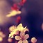 Image result for Beautiful Phone Backgrounds