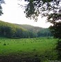 Image result for Old English Countryside