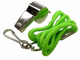 Image result for Metal Lanyard