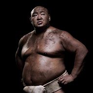 Image result for World Champion Sumo Wrestler
