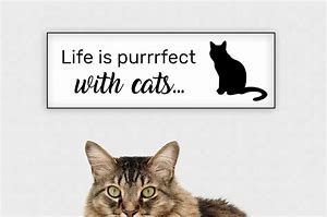 Image result for Cute Cat Signs