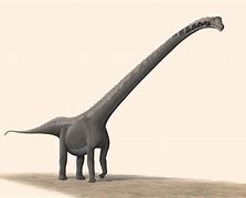 Image result for Biggest Long Neck Dinosaur