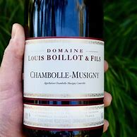 Image result for Louis Boillot Chambolle Musigny Charmes