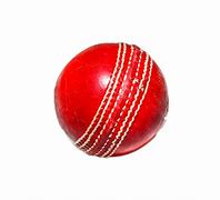 Image result for Cricket Match Bat