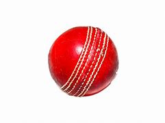 Image result for Cricket for Kids