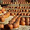 Image result for Arizona Pumpkin Patch