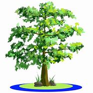 Image result for Anime Trees Background Transparent