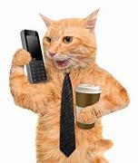 Image result for Business Cat Blank Meme